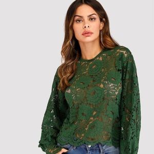 Lantern Sleeve Hallow Lace Blouse